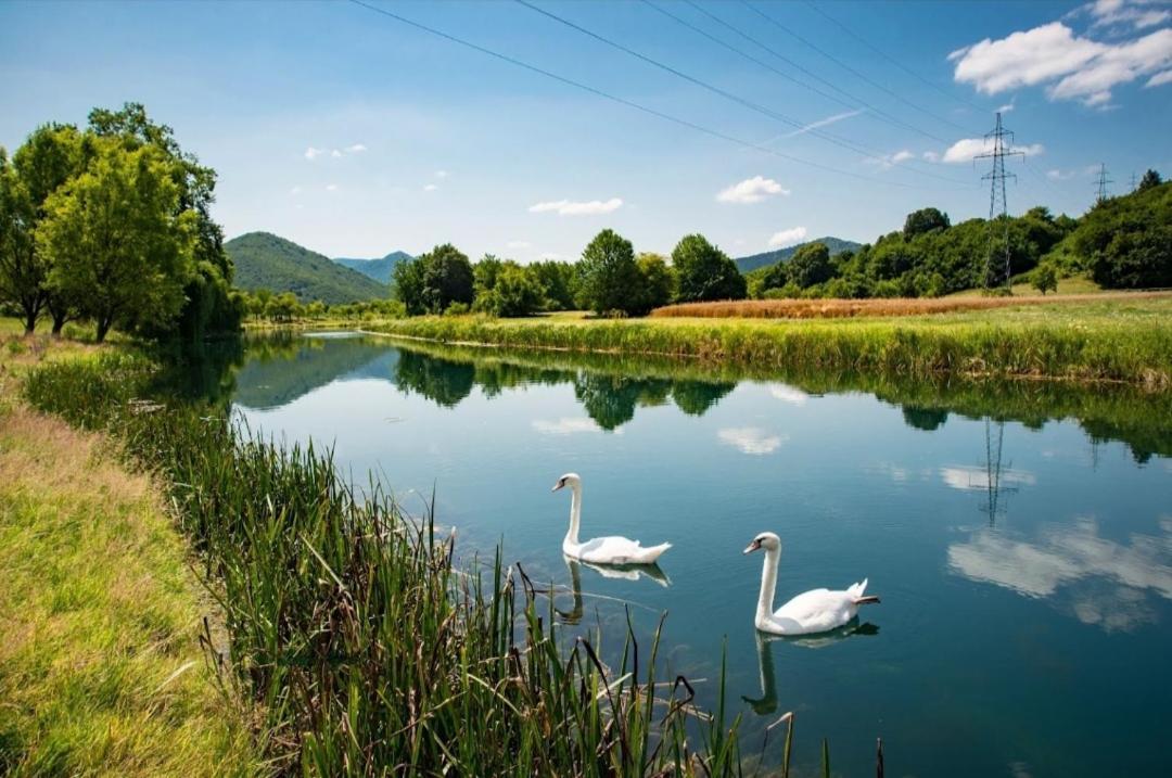 Ferienwohnung Apartman Swans Otočac Exterior foto