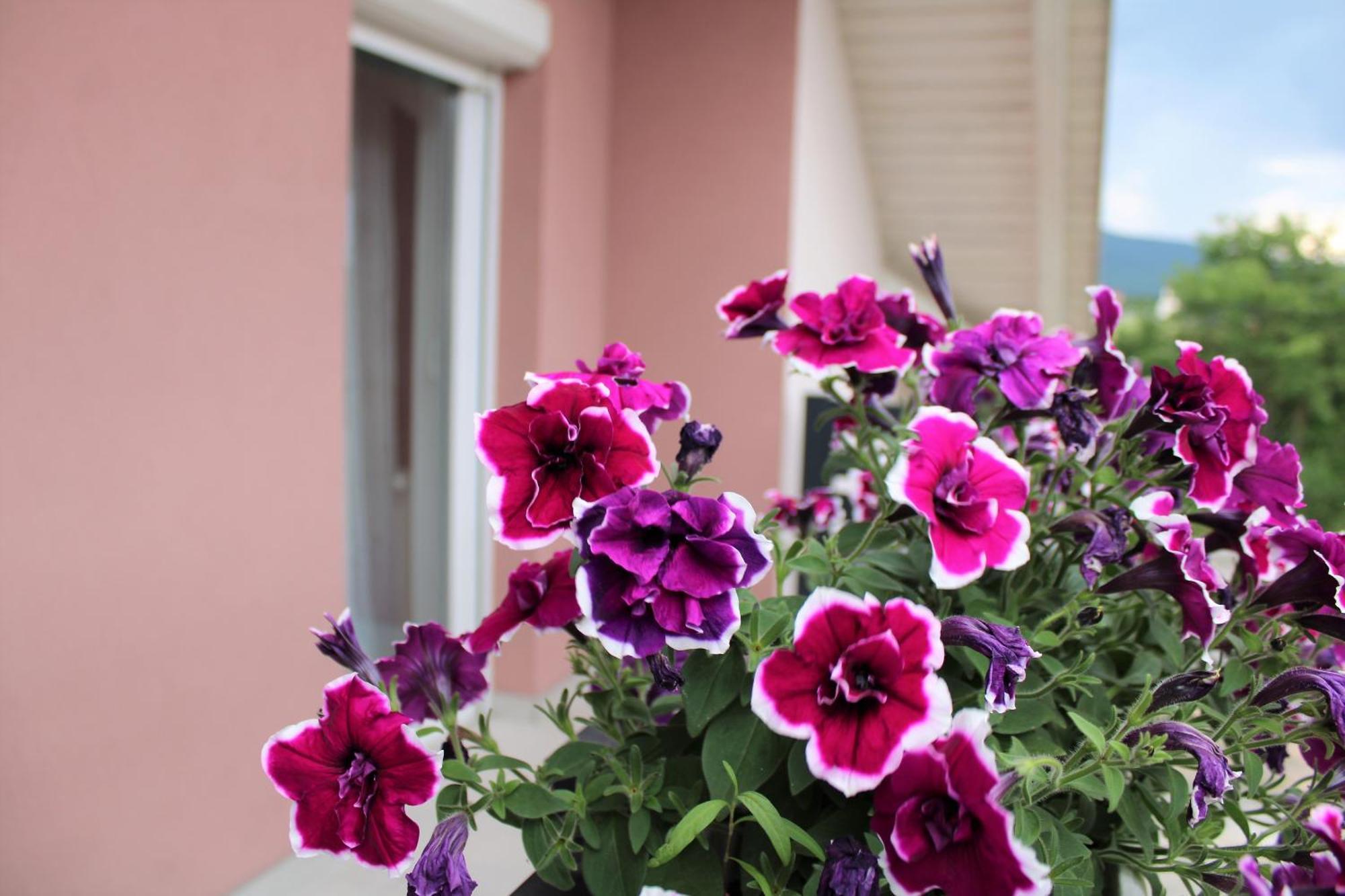Apartman Swans Otočac Exterior foto